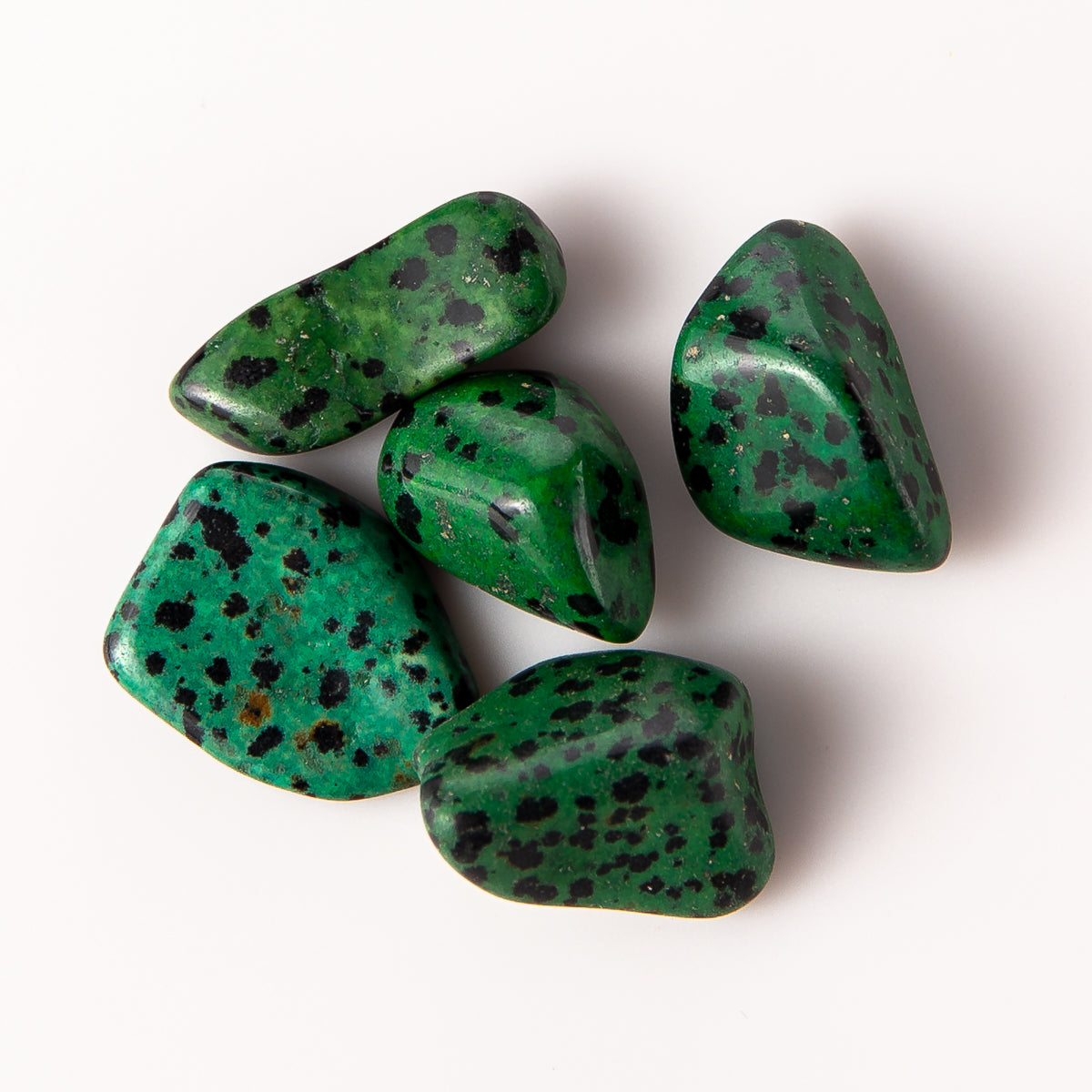 Medium Tumbled Green Dalmatian Jasper