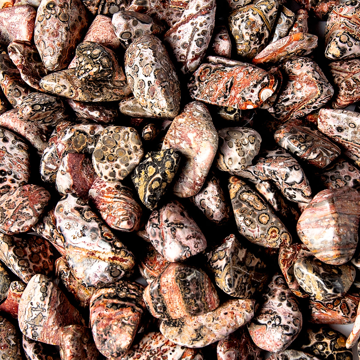 Medium Tumbled Leopard Skin Jasper