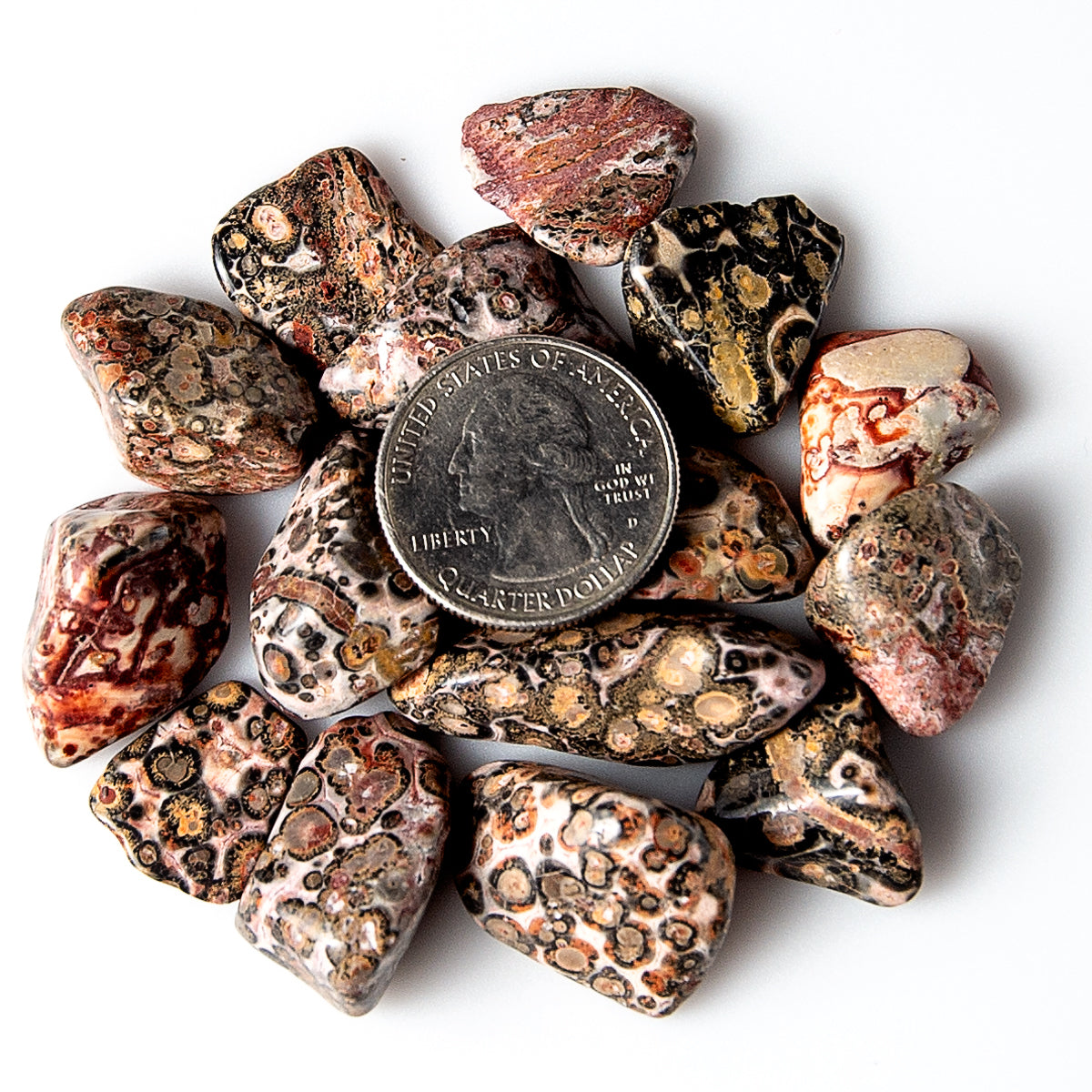 Medium Tumbled Leopard Skin Jasper