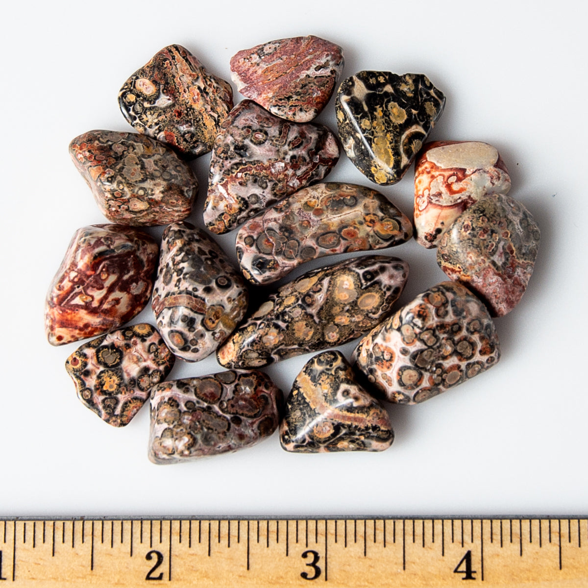 Medium Tumbled Leopard Skin Jasper