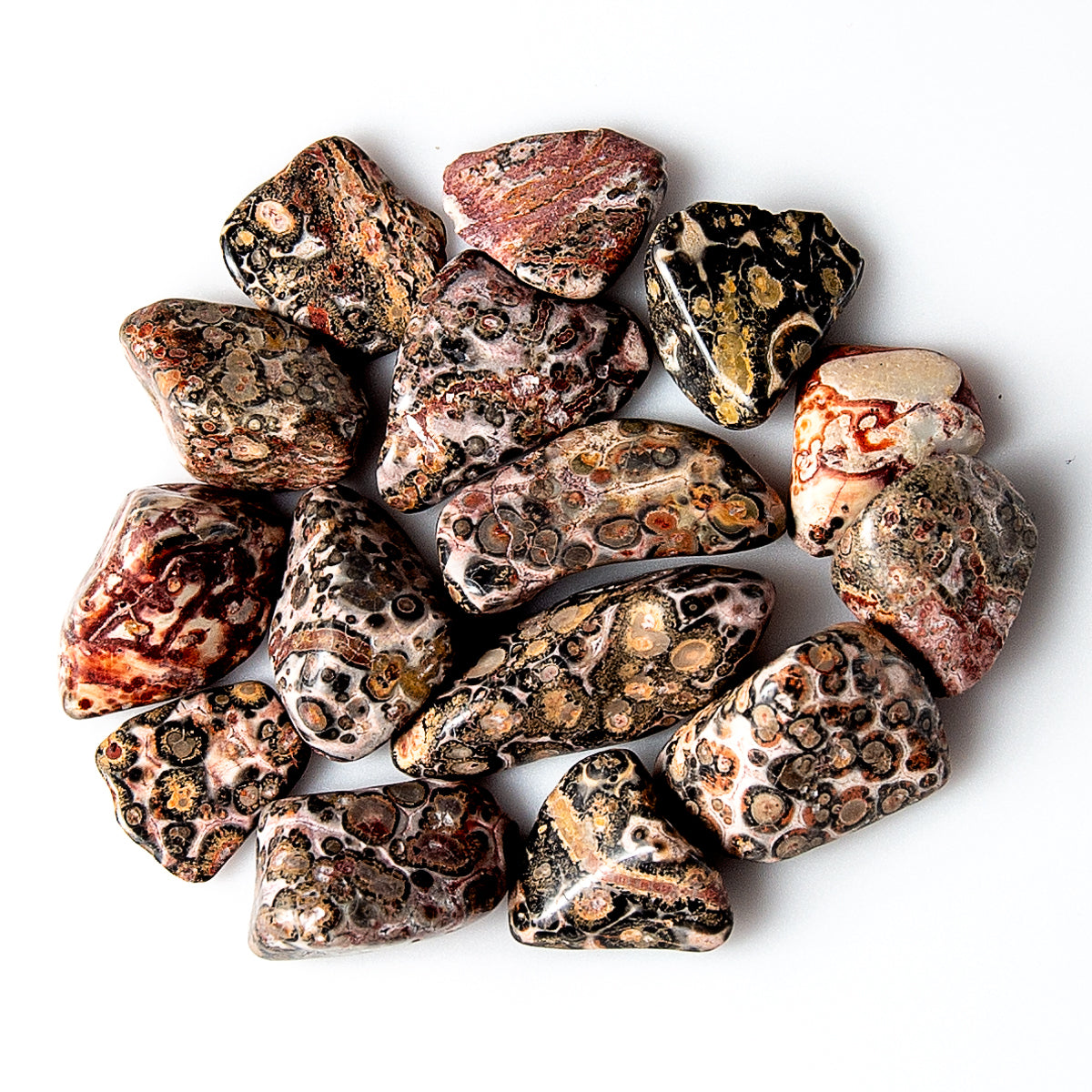 Medium Tumbled Leopard Skin Jasper