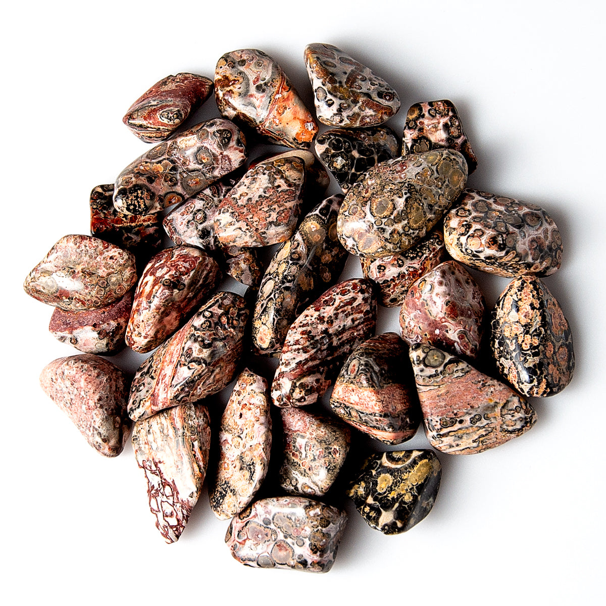Medium Tumbled Leopard Skin Jasper