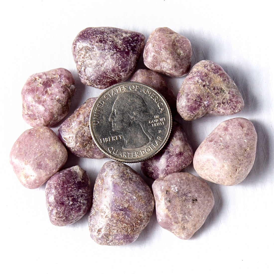 Medium Tumbled Lepidolite