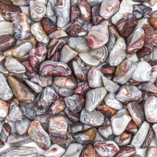 Medium Tumbled Mexican Crazy Lace Agate