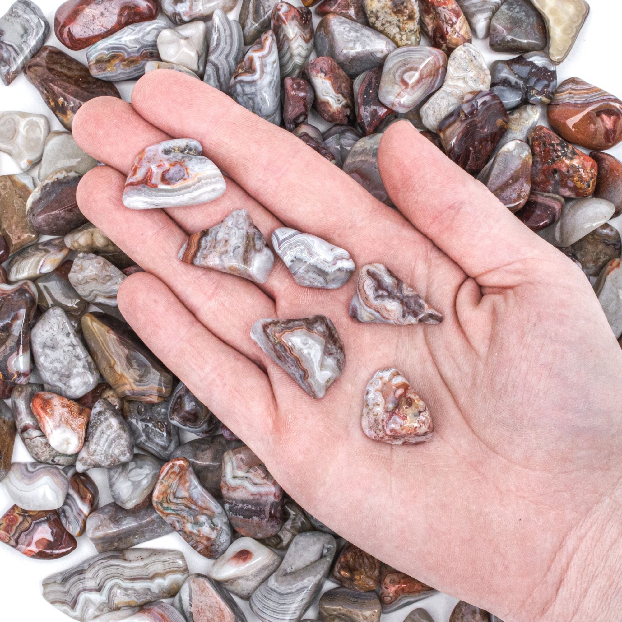Medium Tumbled Mexican Crazy Lace Agate