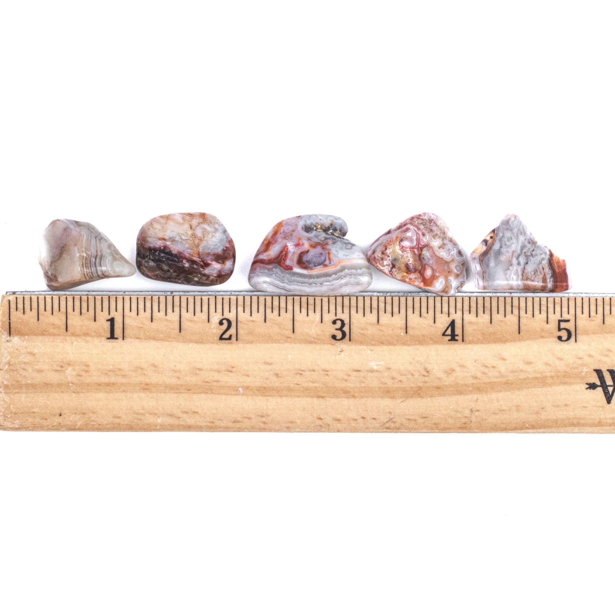 Medium Tumbled Mexican Crazy Lace Agate