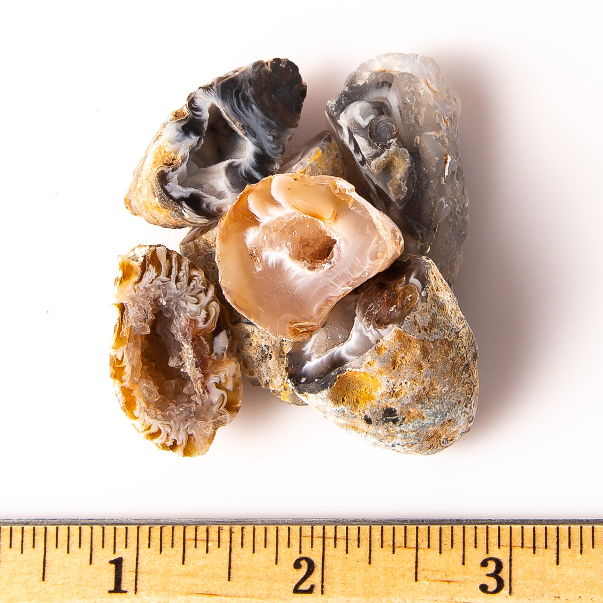 Mini Rough/Raw Agate Oco Geodes