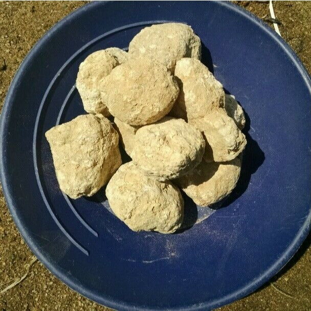 Moroccan Natural Quartz Break Your Own Geodes