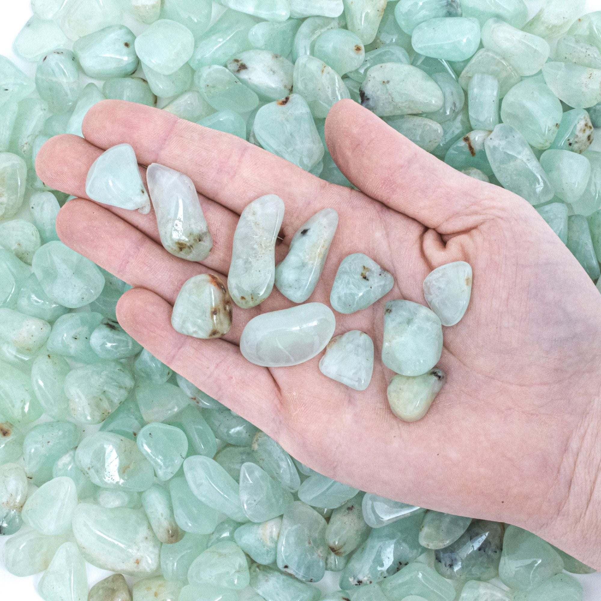 NEW! Medium Tumbled Prehnite