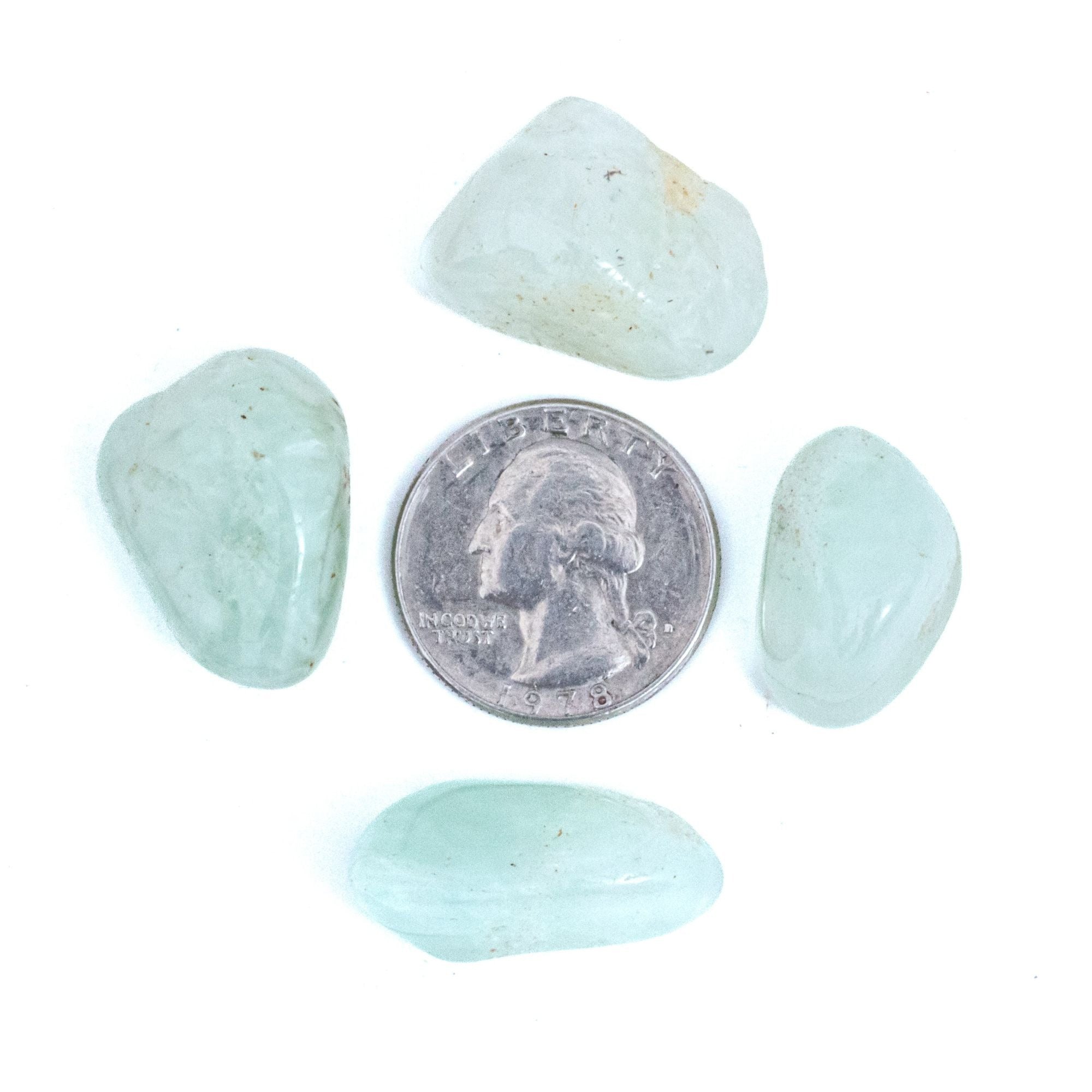 NEW! Medium Tumbled Prehnite