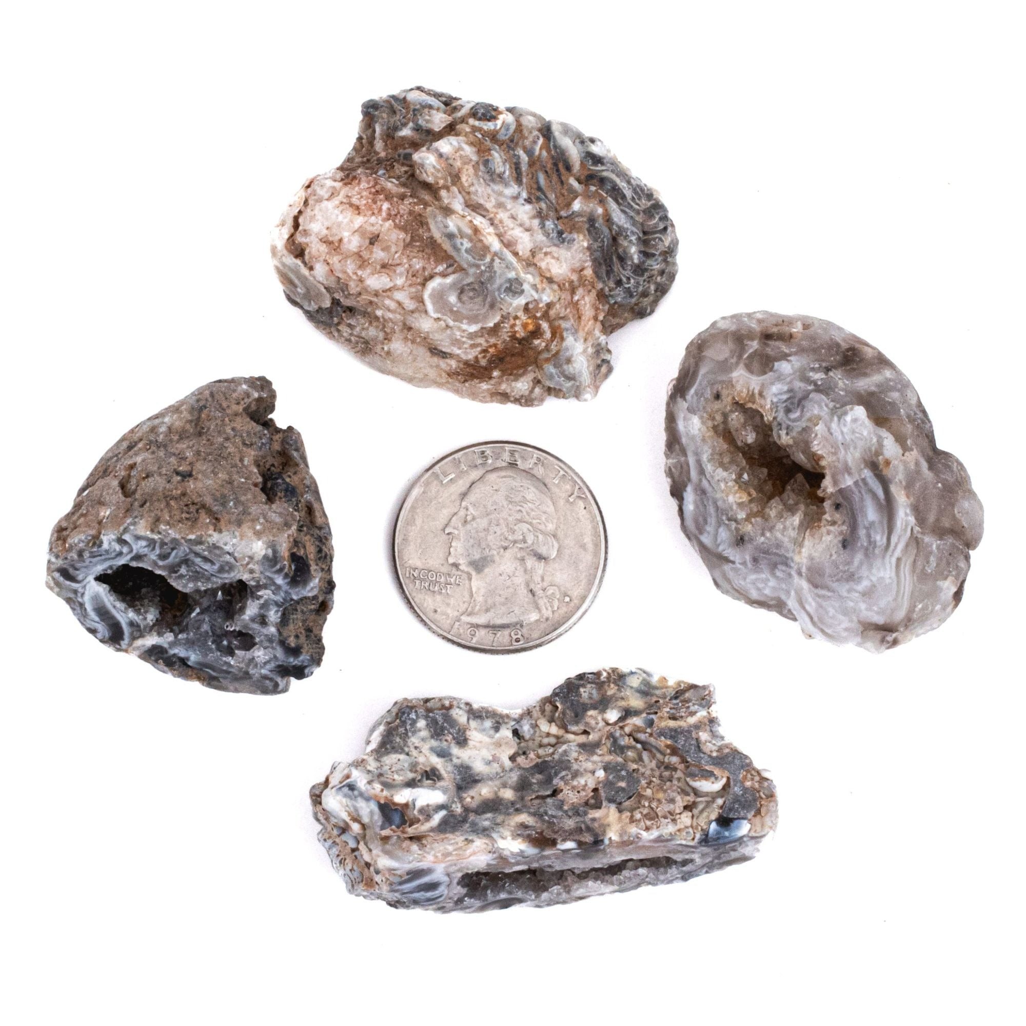 NEW! Small Rough/Raw Agate Oco Geodes