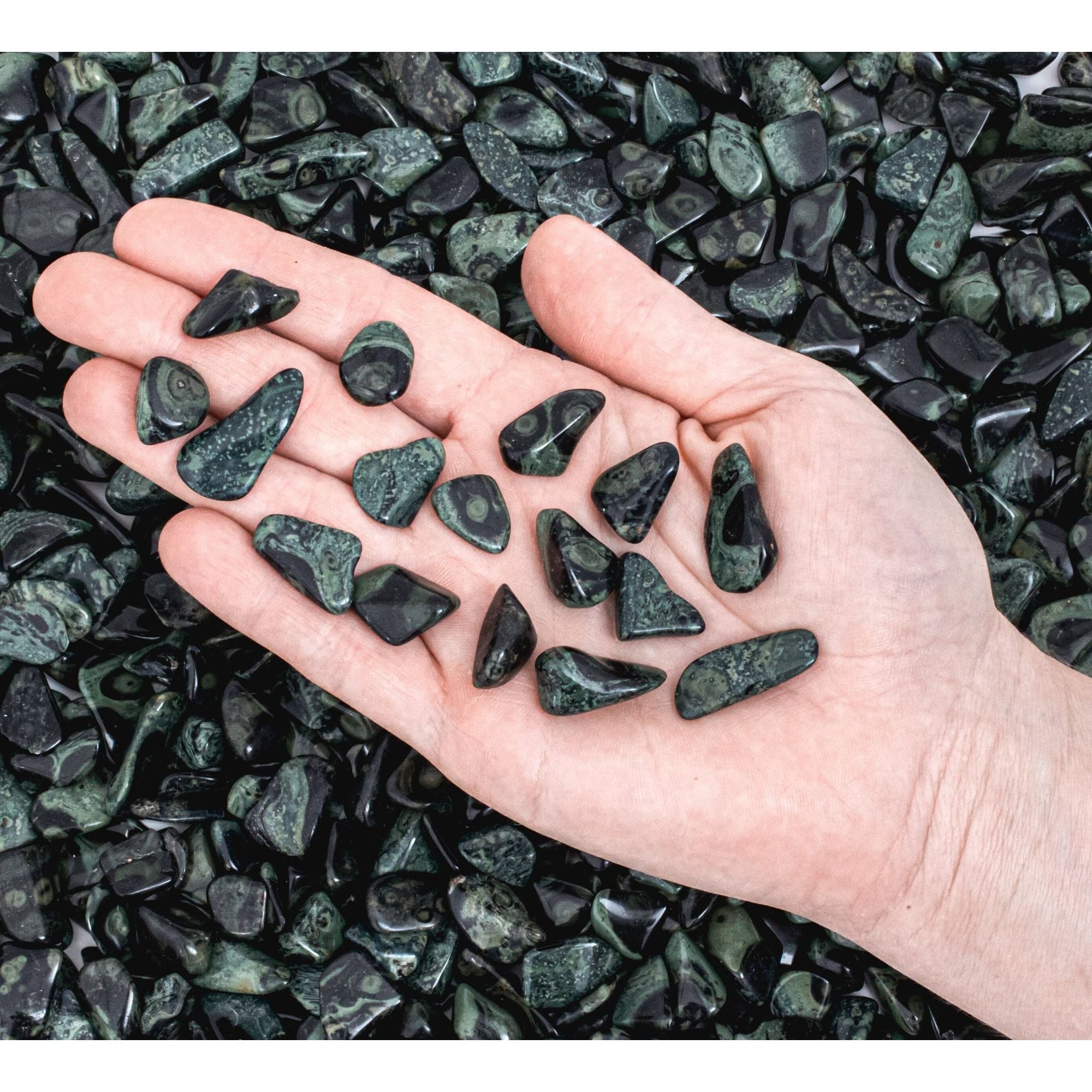 NEW! Small Tumbled Kambaba Jasper