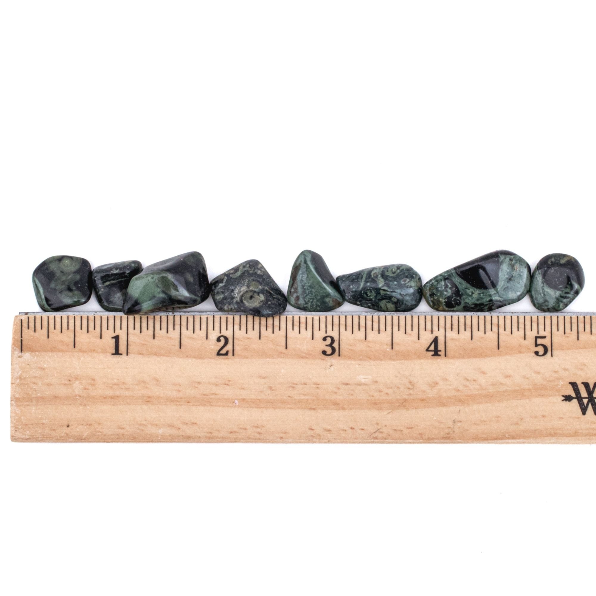 NEW! Small Tumbled Kambaba Jasper