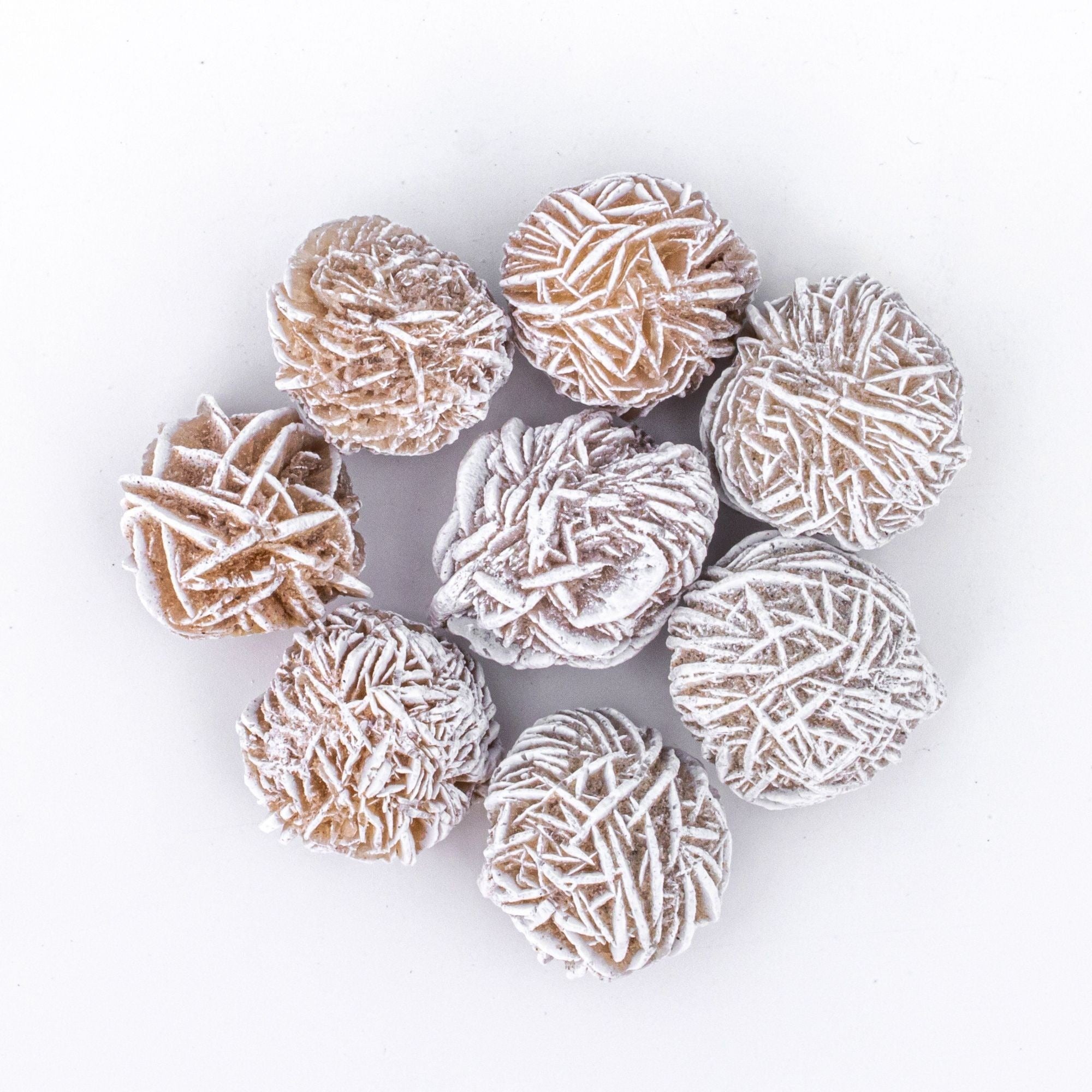 Small Rough/Raw Desert Selenite Rose