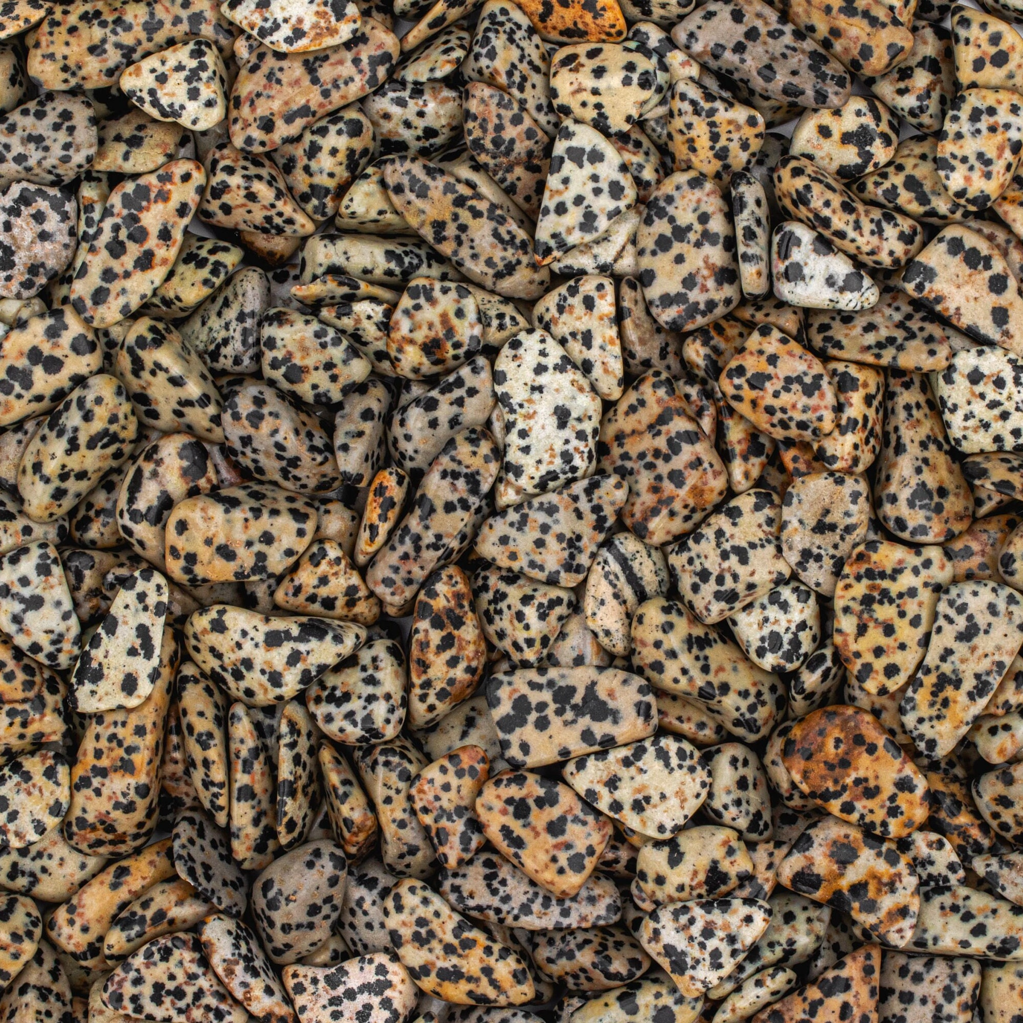 Small Tumbled Dalmatian Jasper