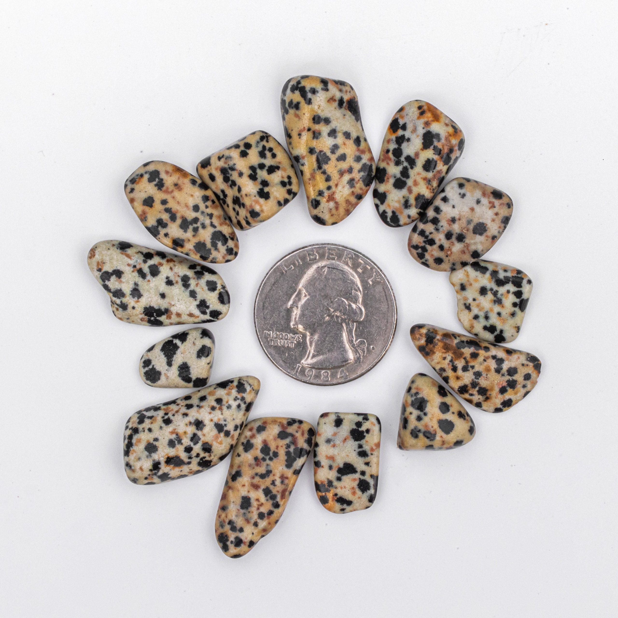 Small Tumbled Dalmatian Jasper