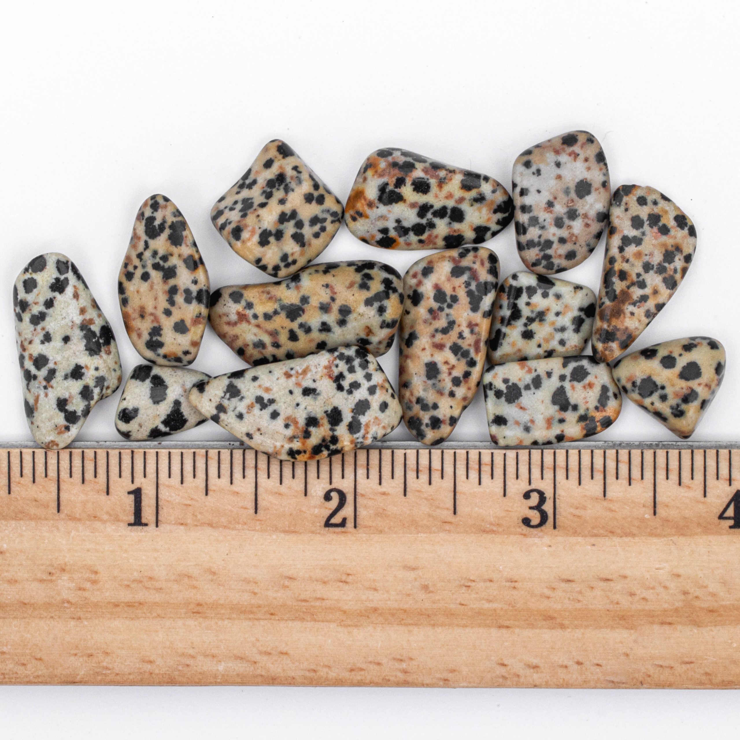 Small Tumbled Dalmatian Jasper