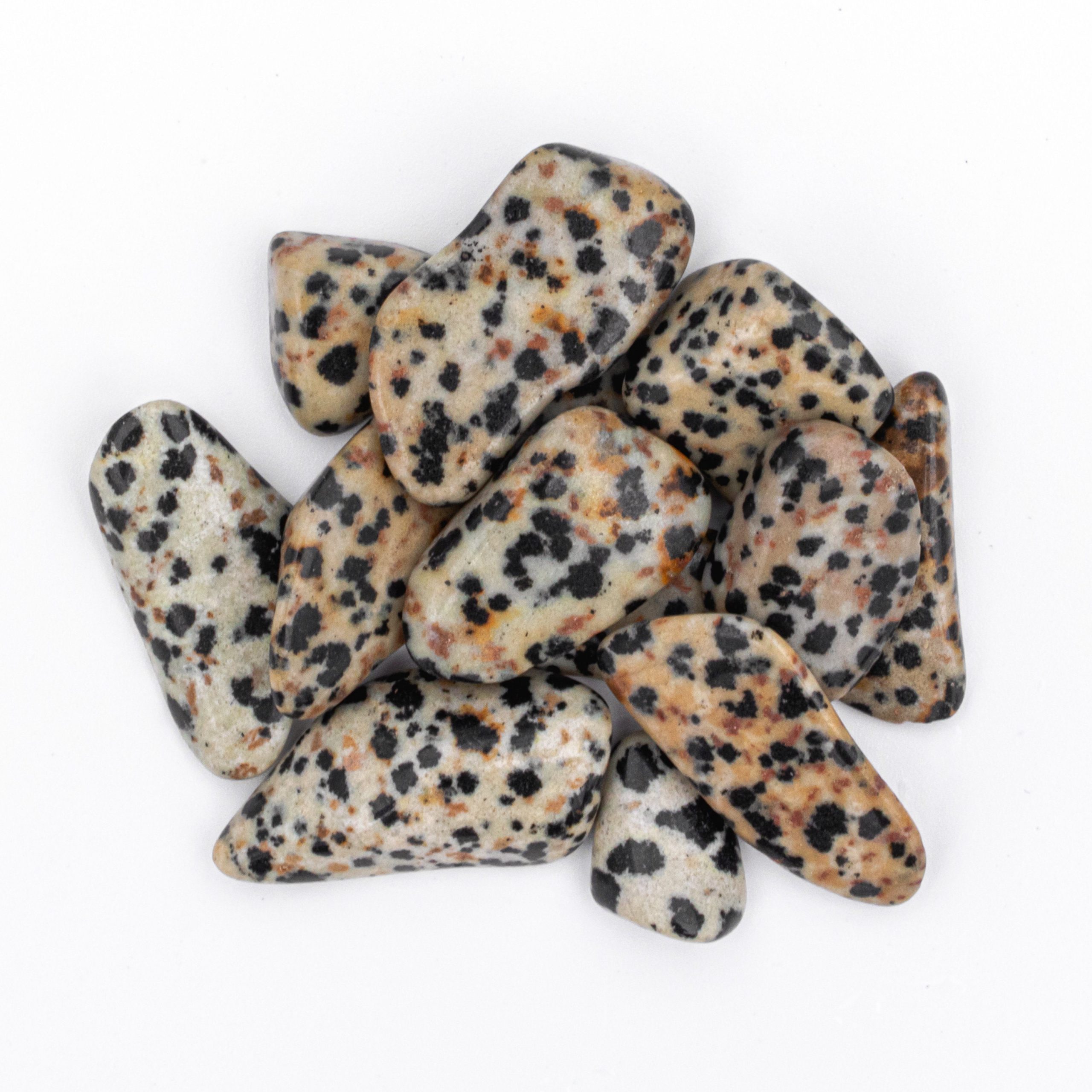 Small Tumbled Dalmatian Jasper