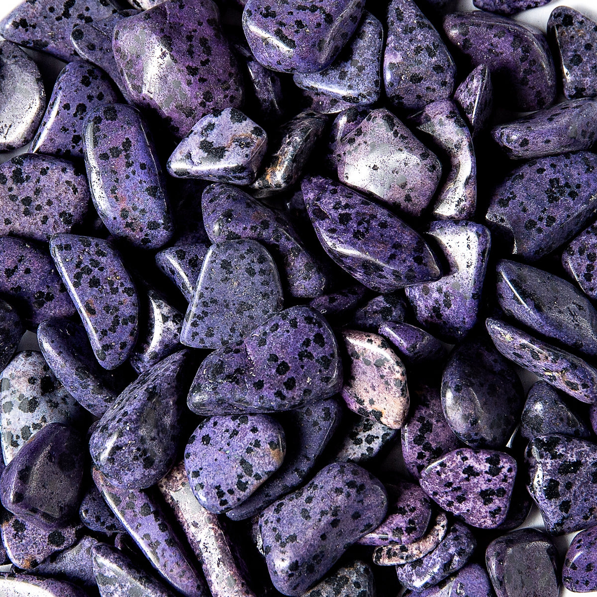 Small Tumbled Dyed Purple Dalmatian Jasper