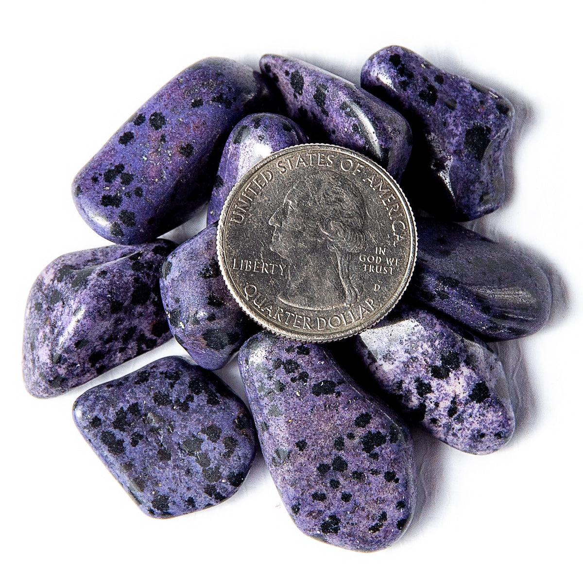 Small Tumbled Dyed Purple Dalmatian Jasper