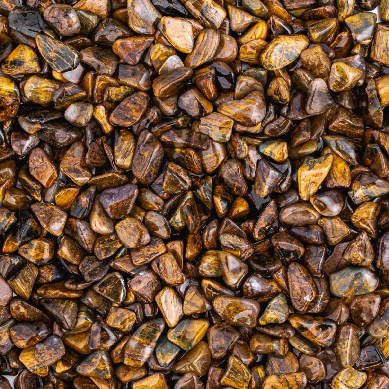 Small Tumbled Lionskin