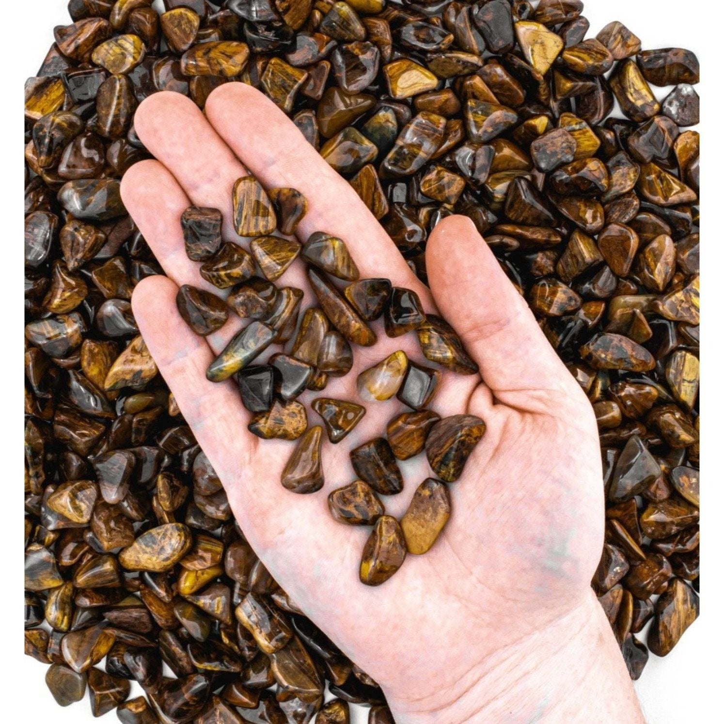Small Tumbled Lionskin