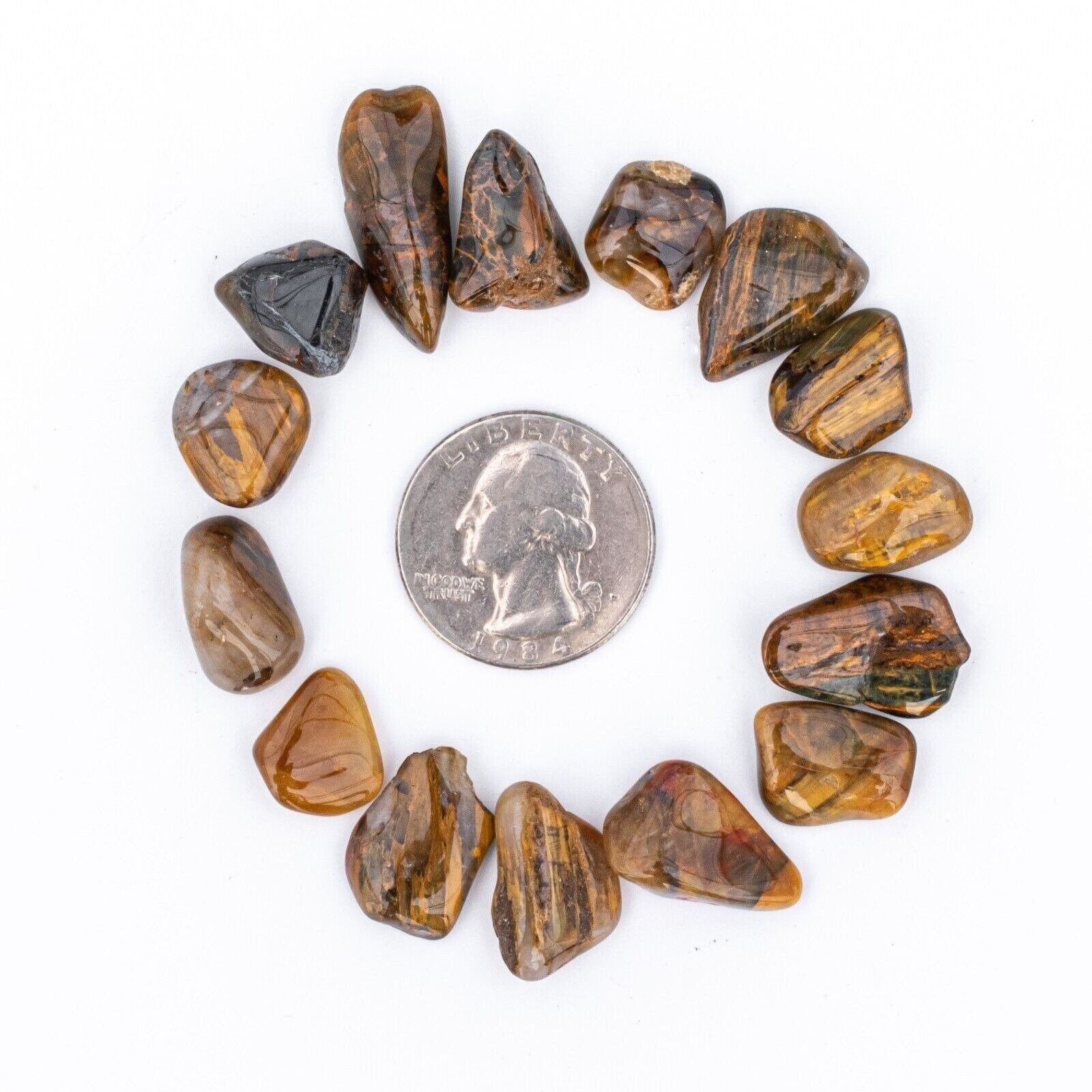 Small Tumbled Lionskin