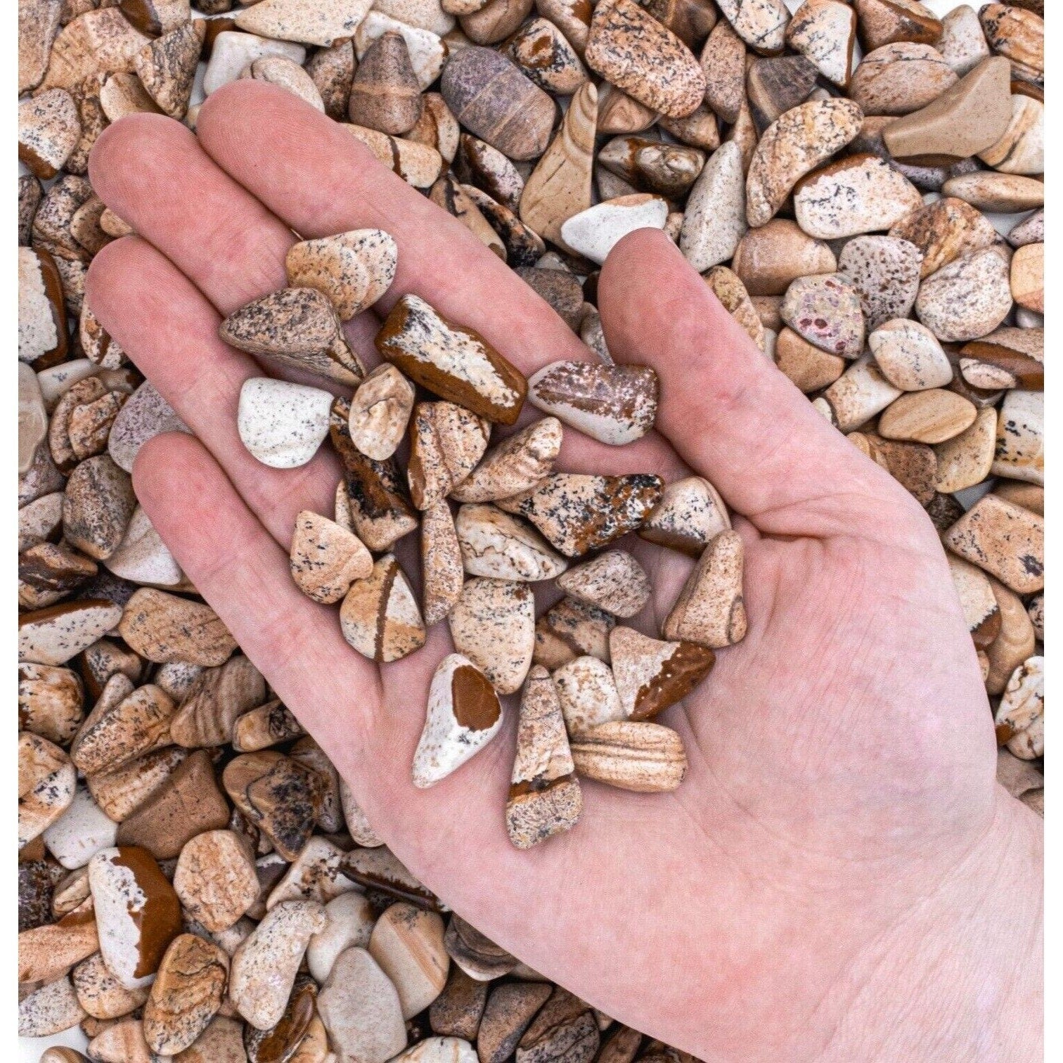 Small Tumbled Picture Jasper