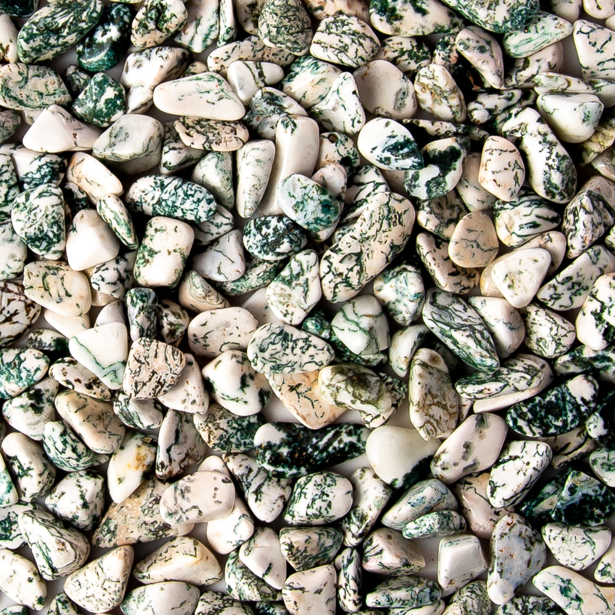 Small Tumbled Tree Agate