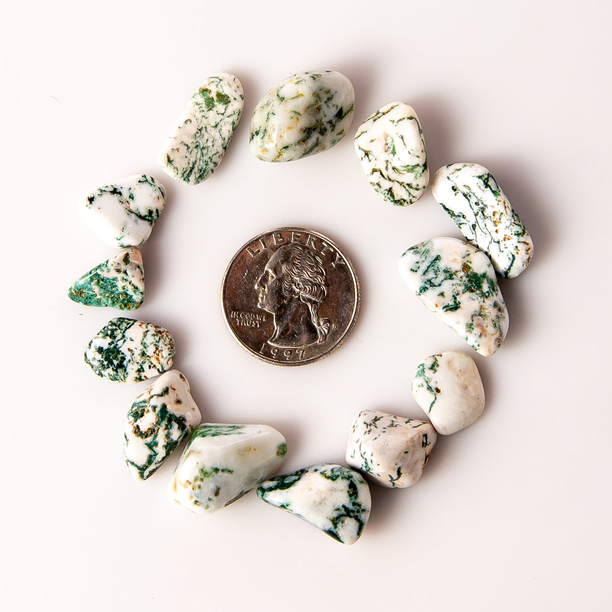 Small Tumbled Tree Agate