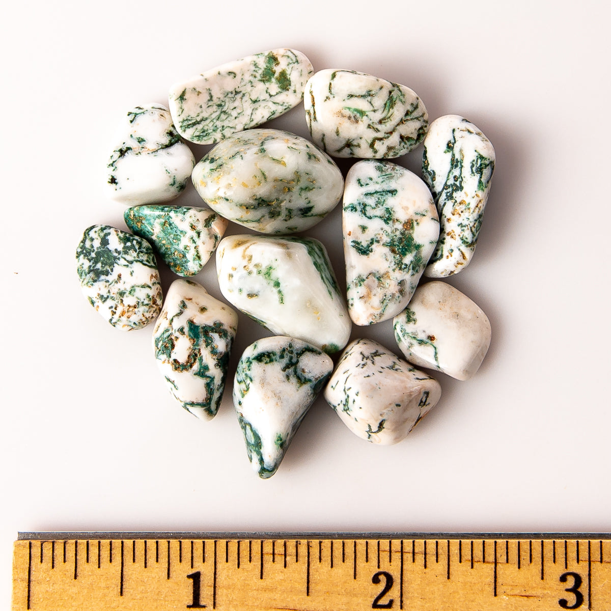 Small Tumbled Tree Agate