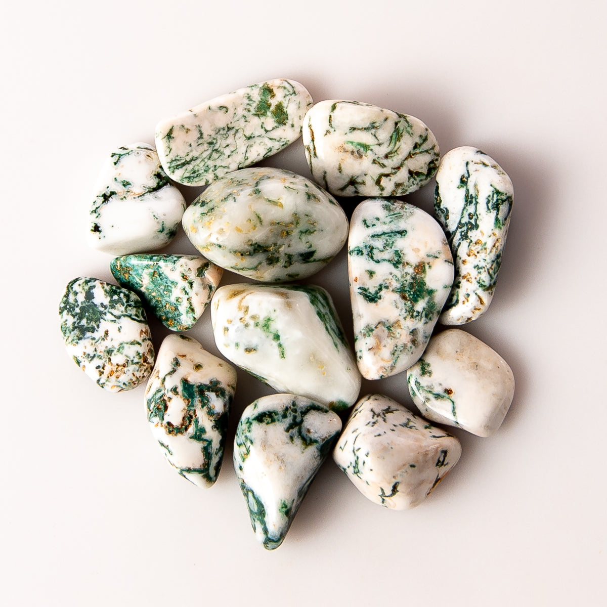 Small Tumbled Tree Agate