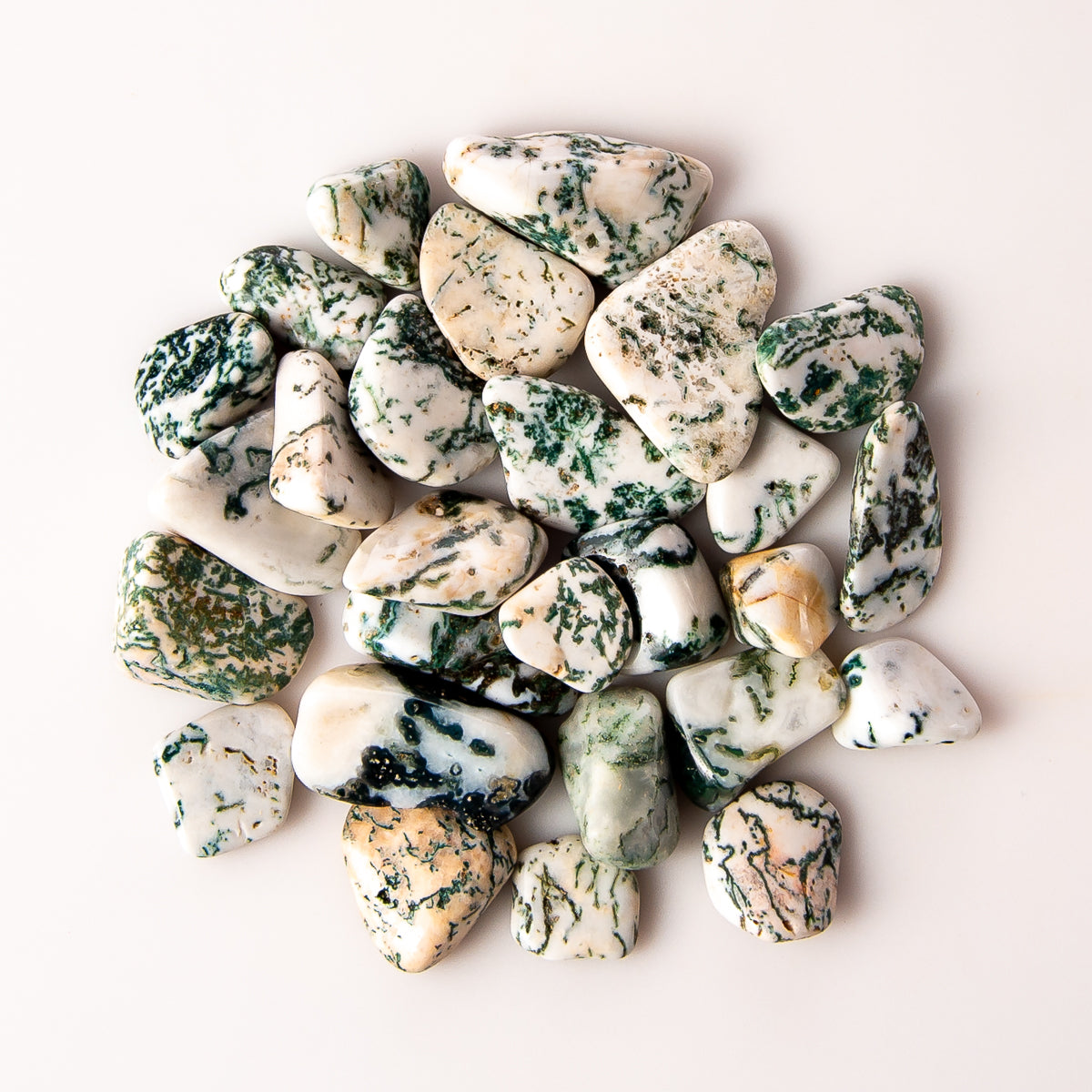 Small Tumbled Tree Agate