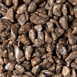 Small Tumbled Turritella Agate