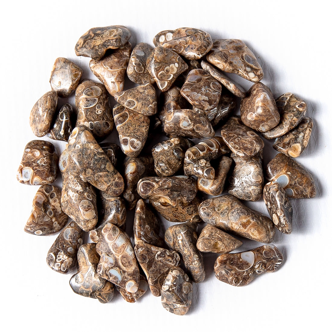 Small Tumbled Turritella Agate